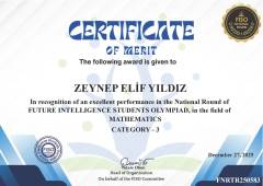 Evrensel Kolej